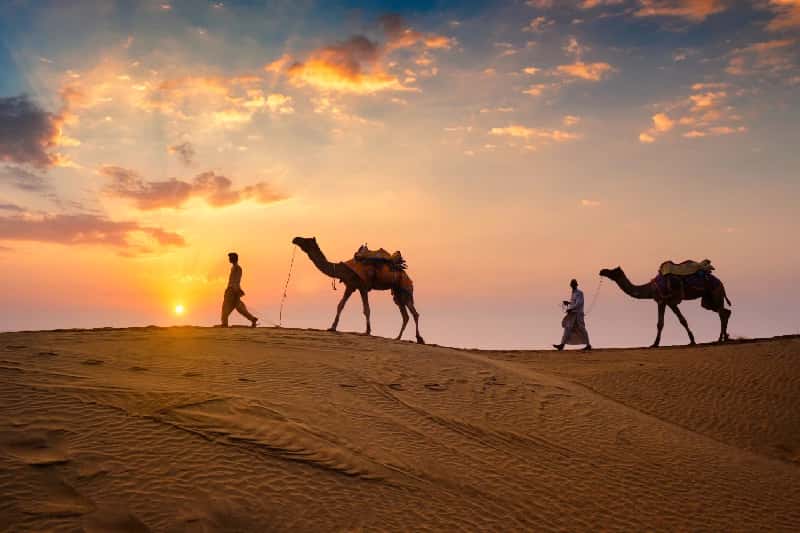 Tour India 10 Giorni, due uomini e due cammelli al deserto in India