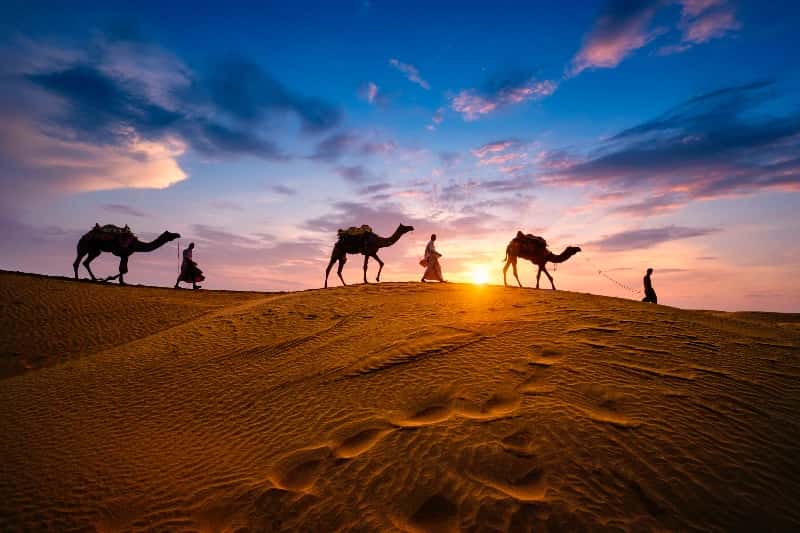 Vacanza India, tre uomini con tre cammelli